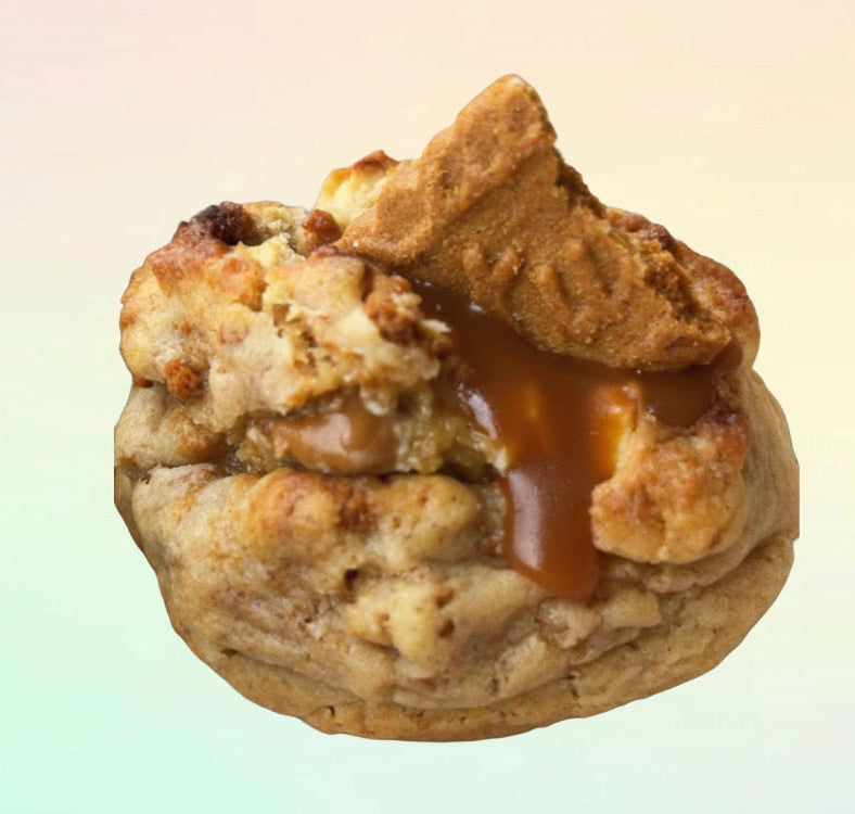 Yorky SpecuCara 🧡